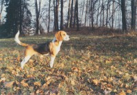 /album/fotogalerie-arka/img-jpg/
