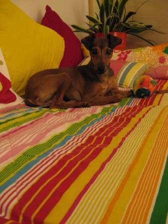 Foto z nového domova (leden 2014)