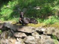 /album/foto3/img-6181-jpg1/
